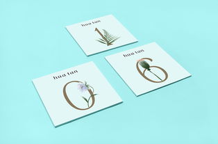 花探品牌设计 视觉叙事中的图文艺术制作